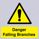 danger-falling-branches~